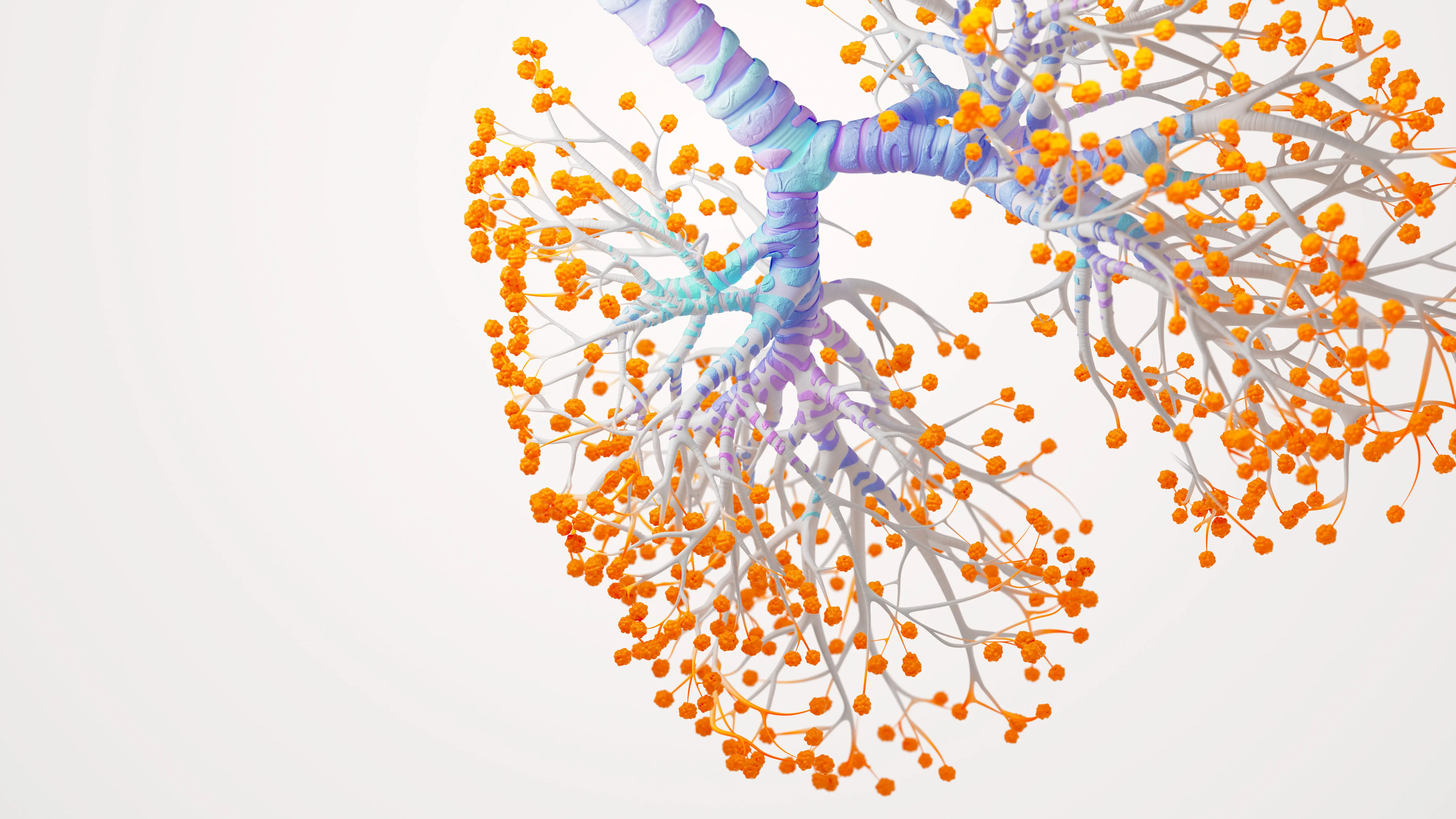 Lungs Science Image