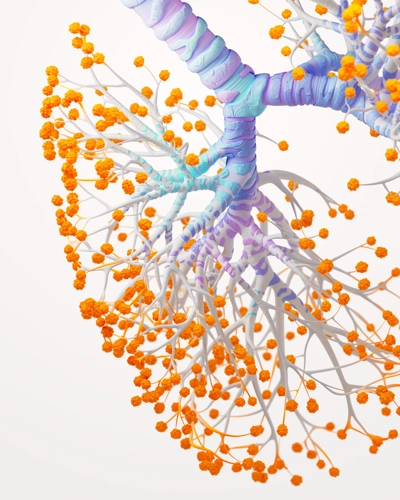 Lungs Science Image