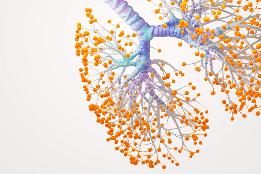 Lungs Science Image
