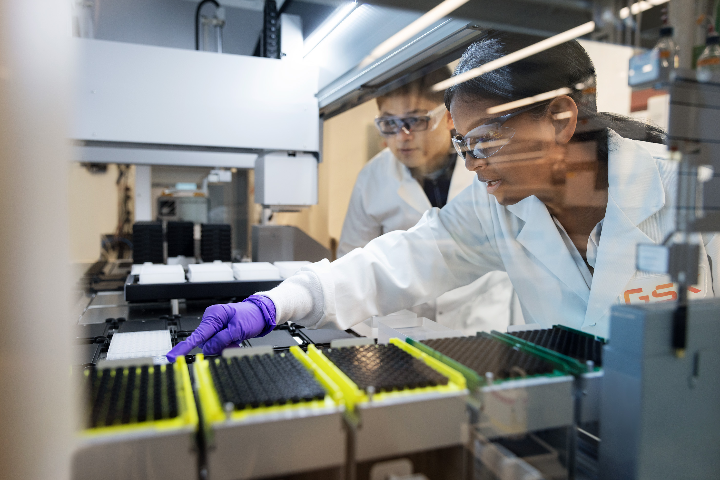 Scientists working in lab