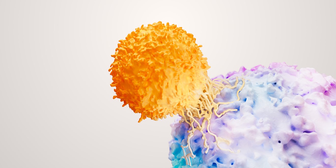 GSK Oncology T-cell therapy research