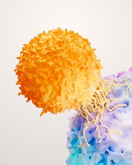 GSK Oncology T-cell therapy research