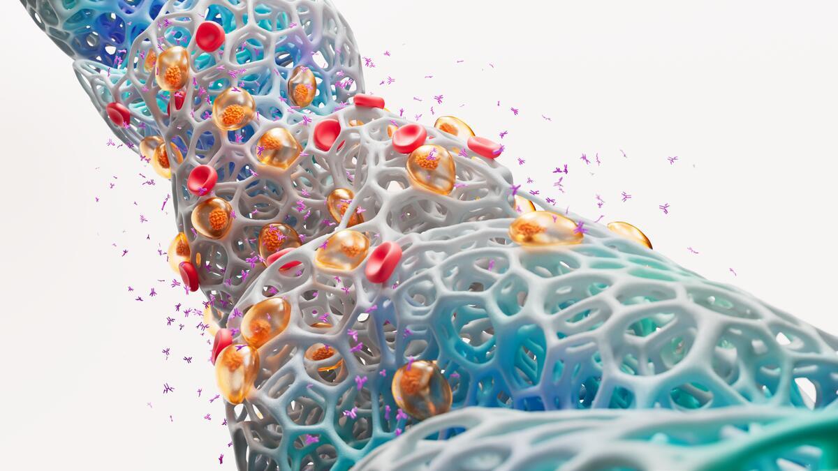 Science Image Multiple Myeloma RGB