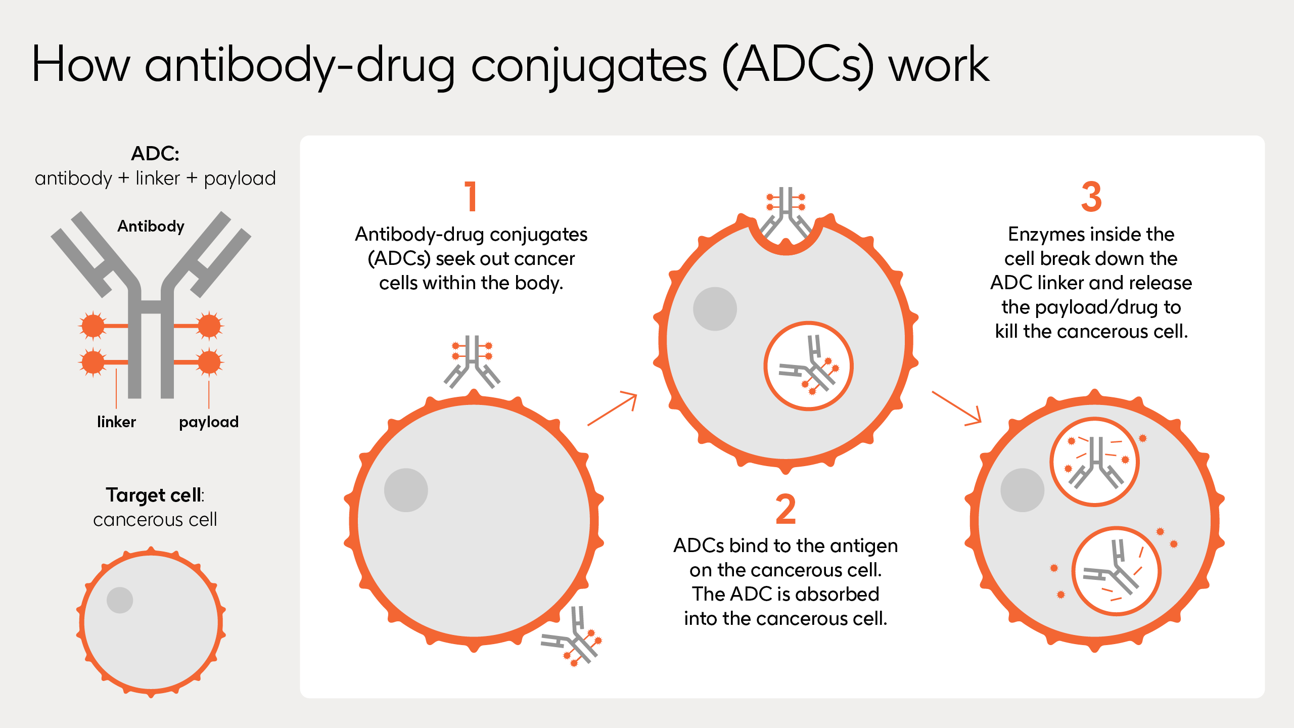 ADC Graphic