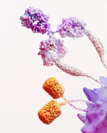 Immuno Oncology science image