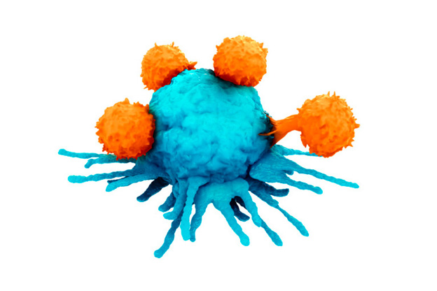 T-cells attacking a cancer cell