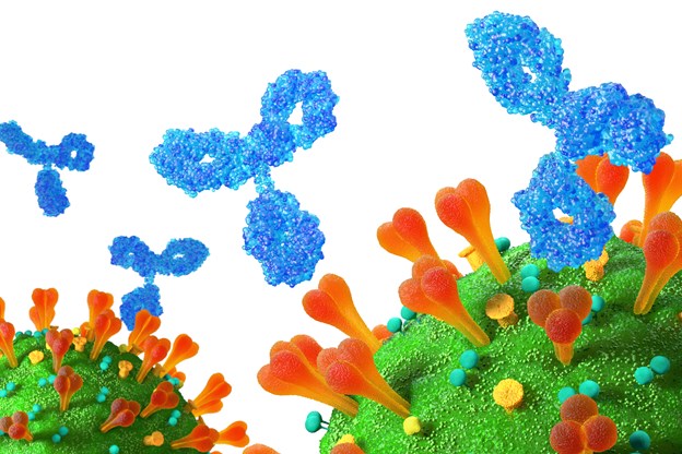 Monoclonal Antibodies RGB (VIR)