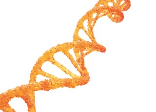 A strand of DNA