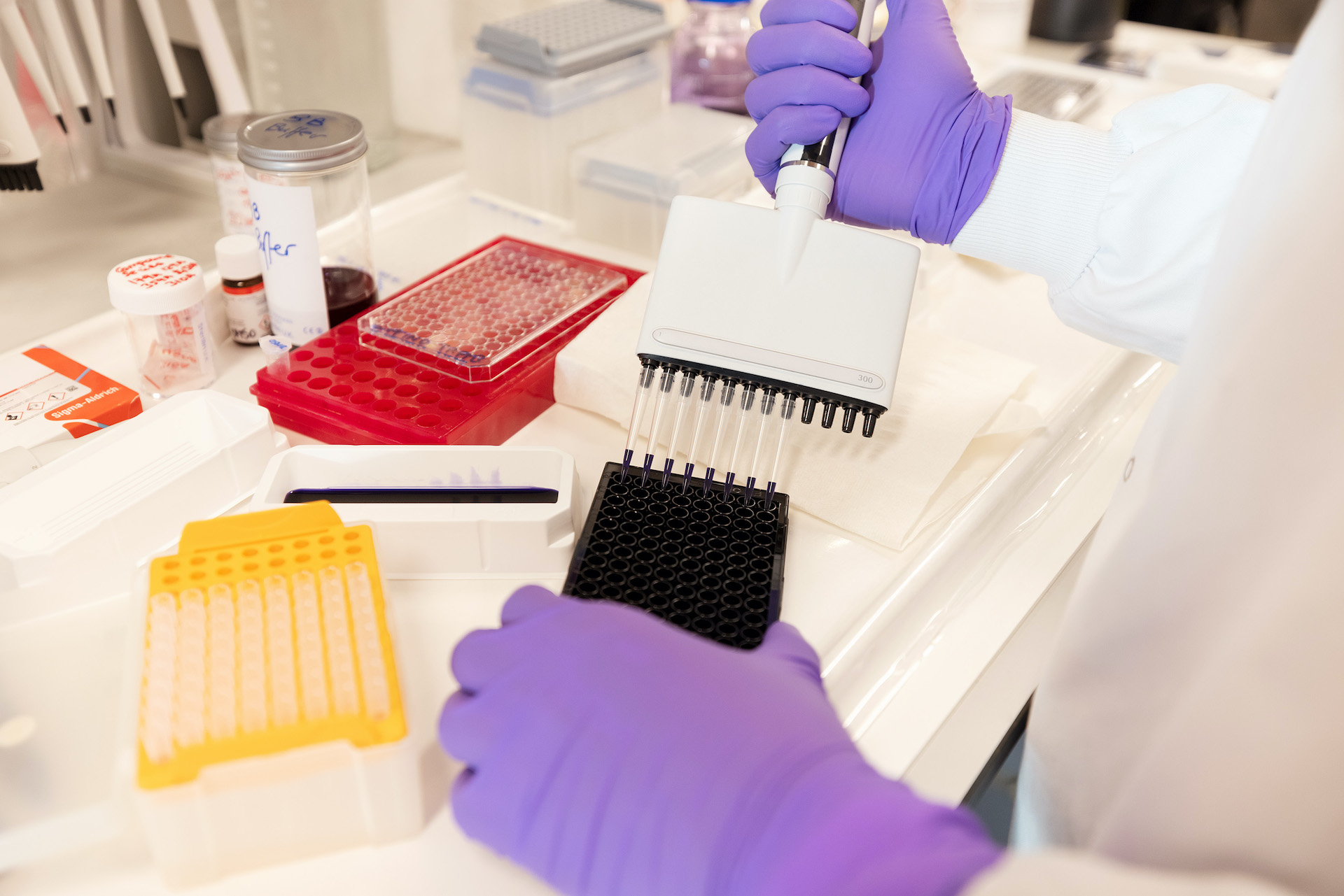 R&D scientist with multi-pipette in R&D smart lab.