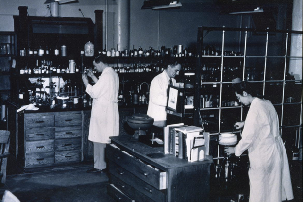 Burroughs Wellcome & Co. (USA) biochemistry lab, c.1949