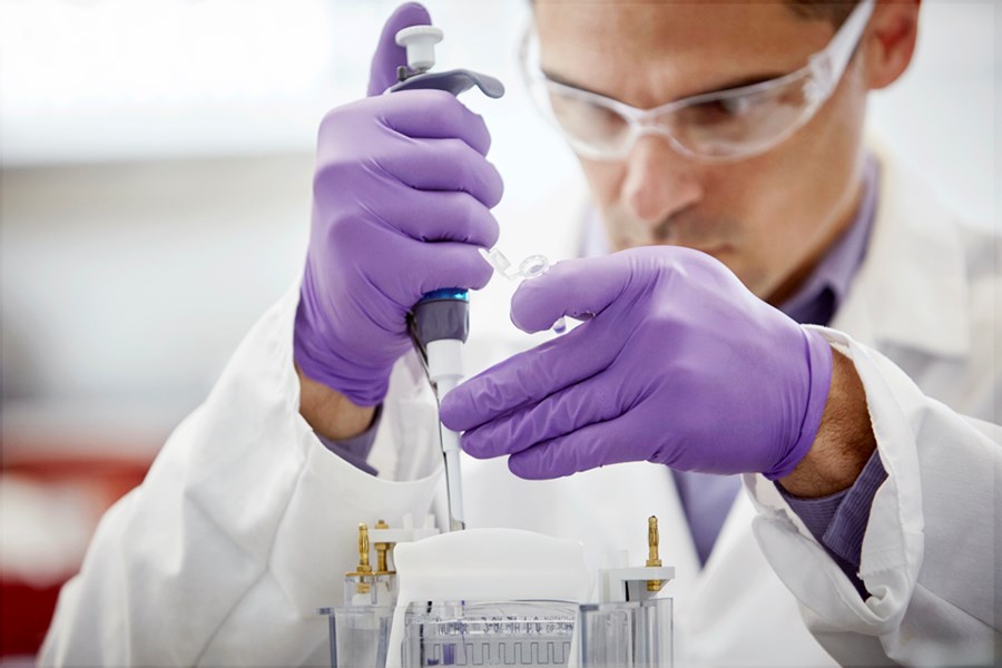 Scientist working in laboratory