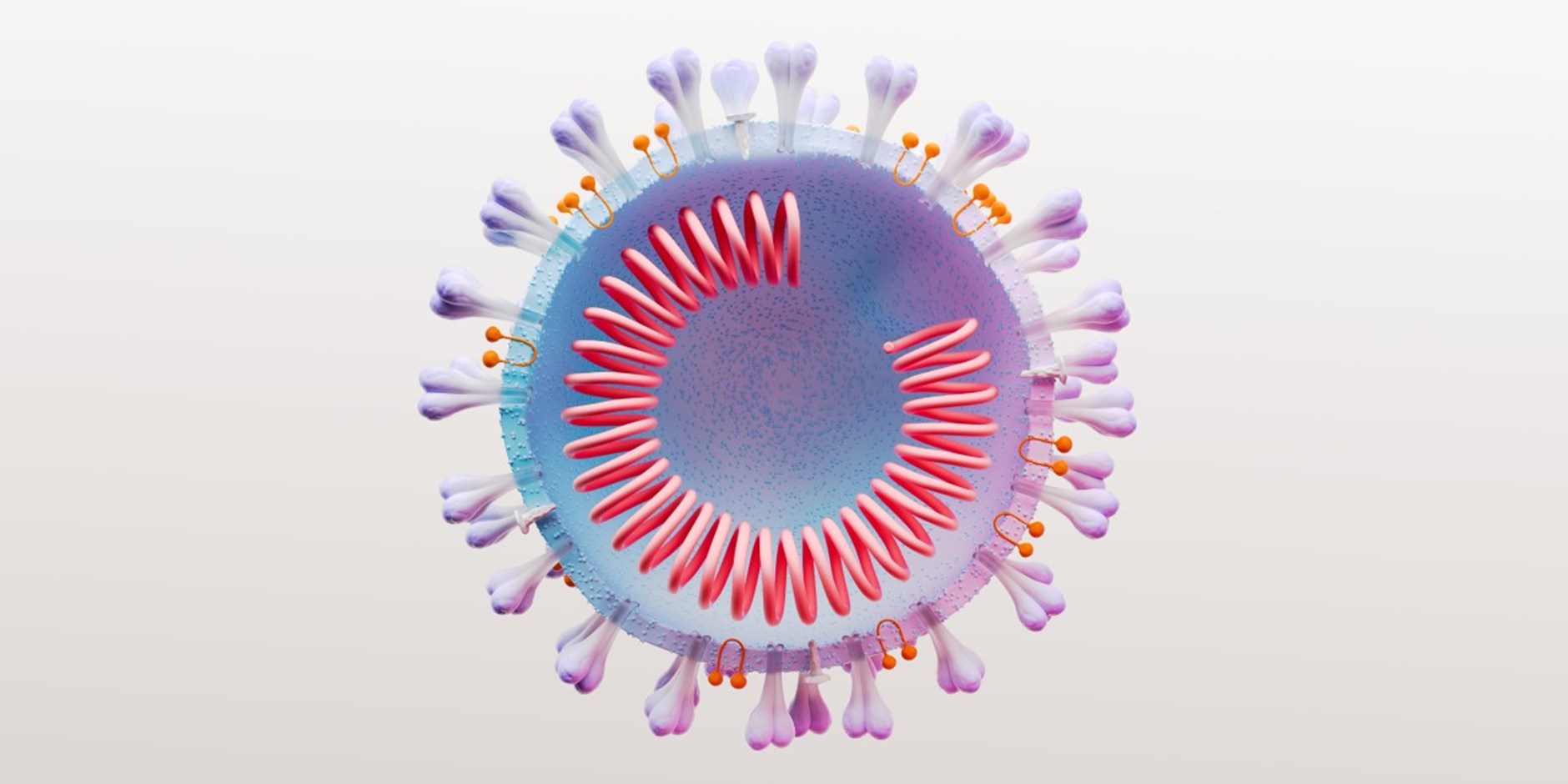 COVID virus cell cross section