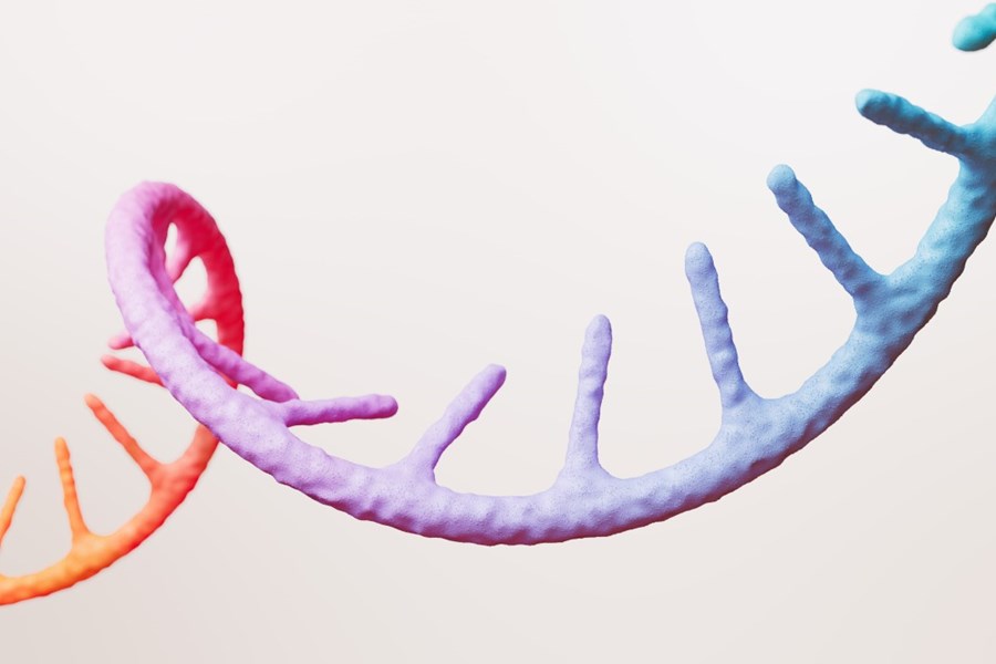 mRNA strand