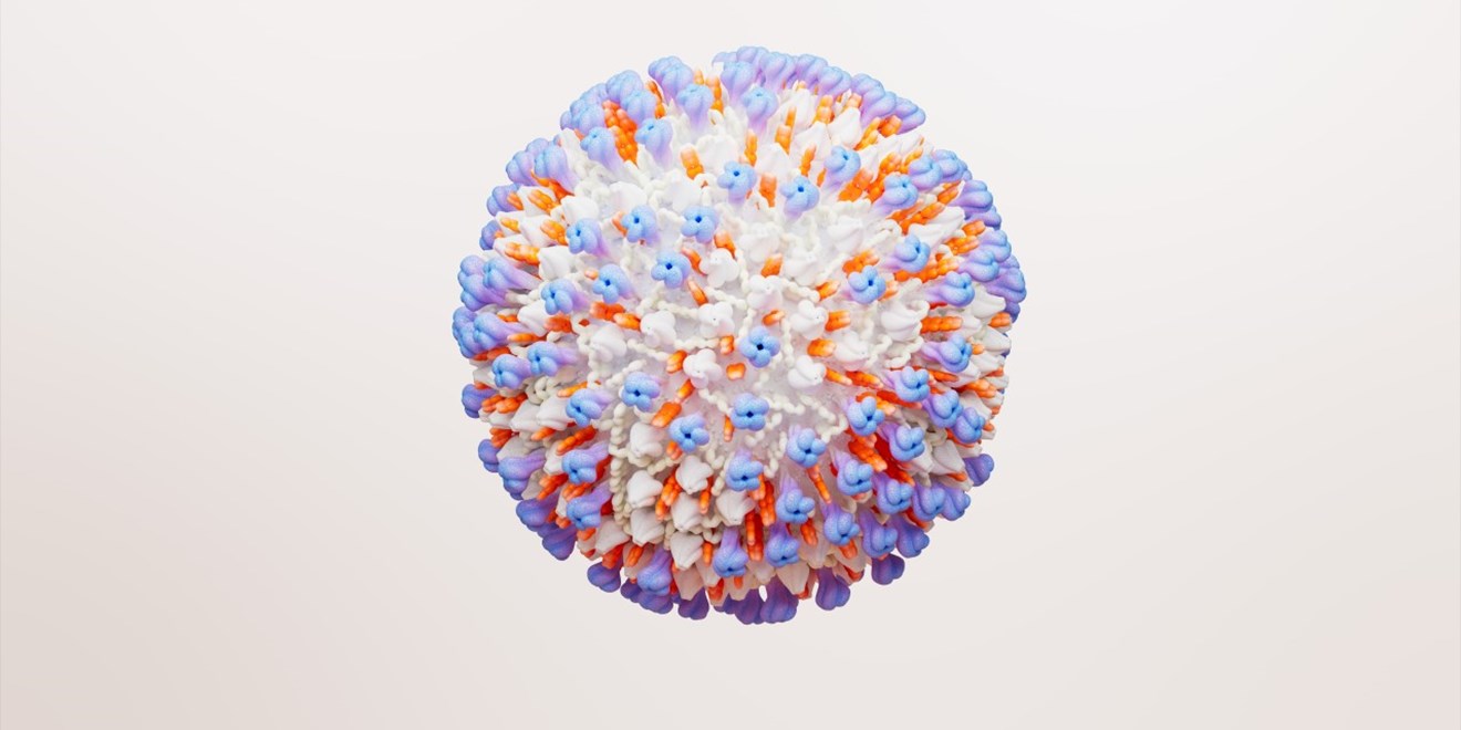 RSV virus cell