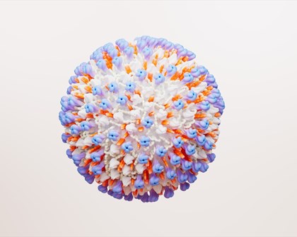RSV virus cell