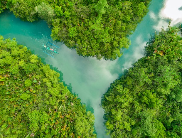 Teal-coloured river running across a tropical forest