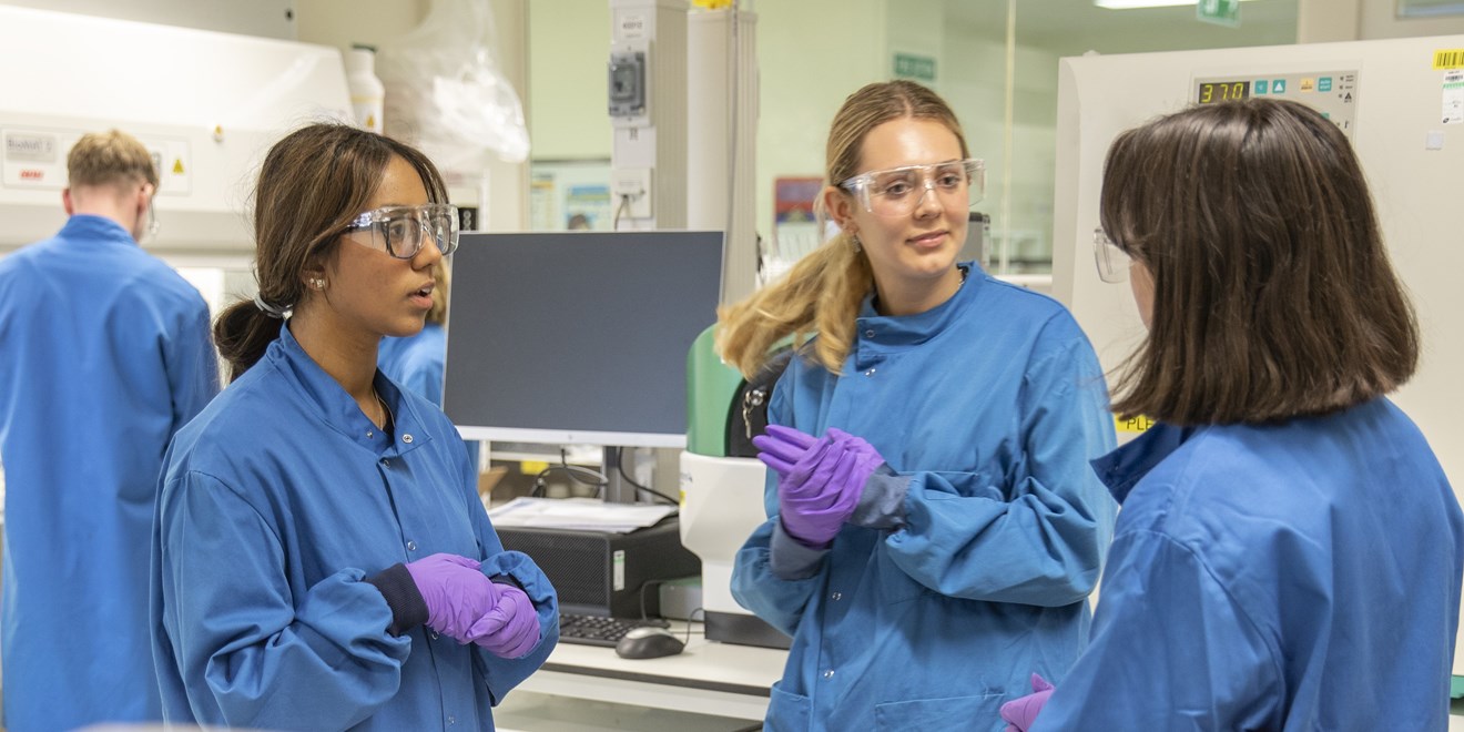 Early talent in a lab