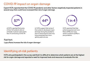 Survey results infrographic