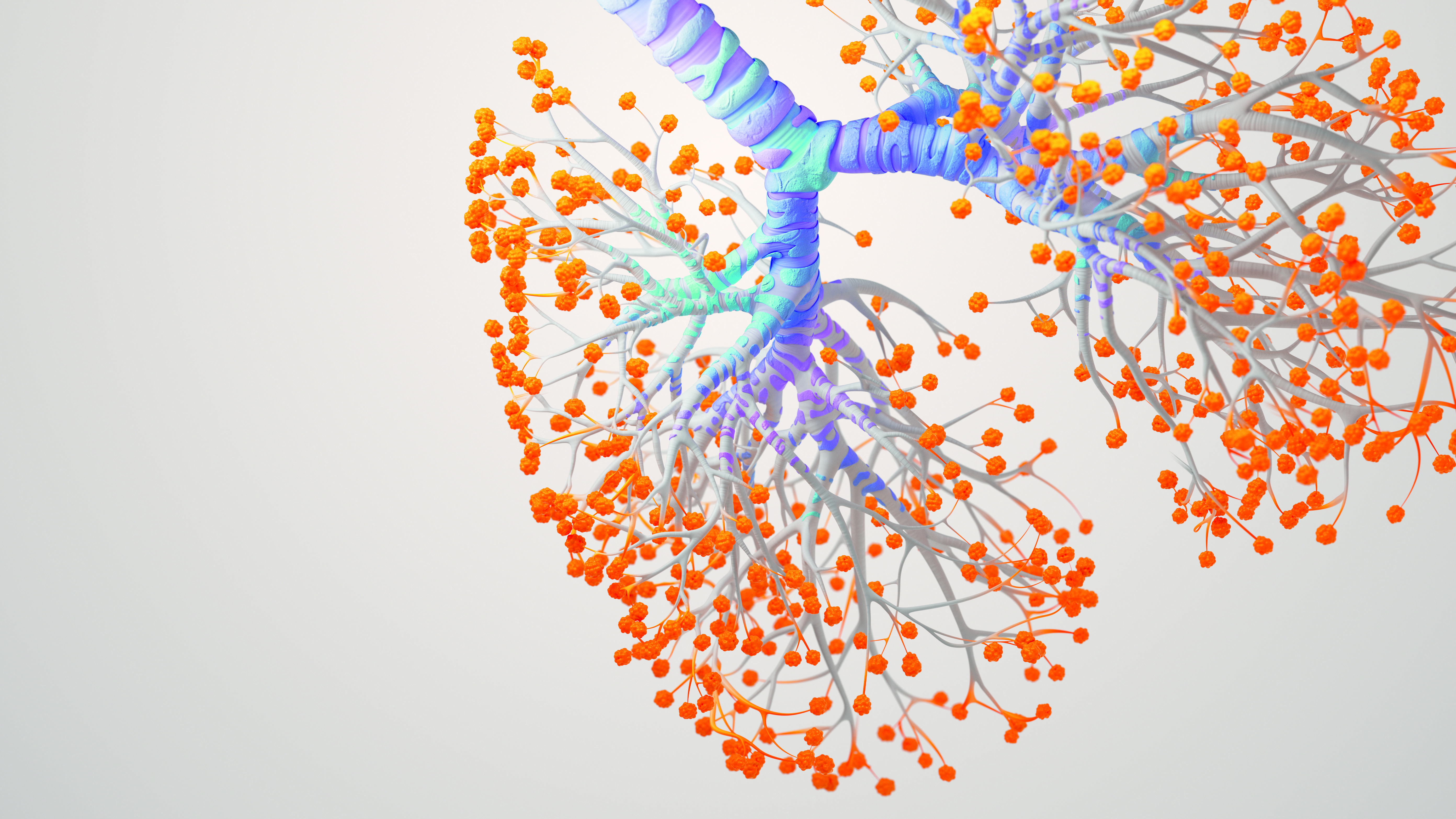 GSK lungs illustration