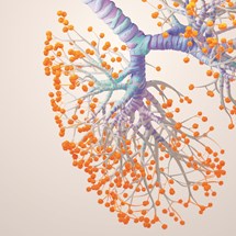 GSK lungs illustration