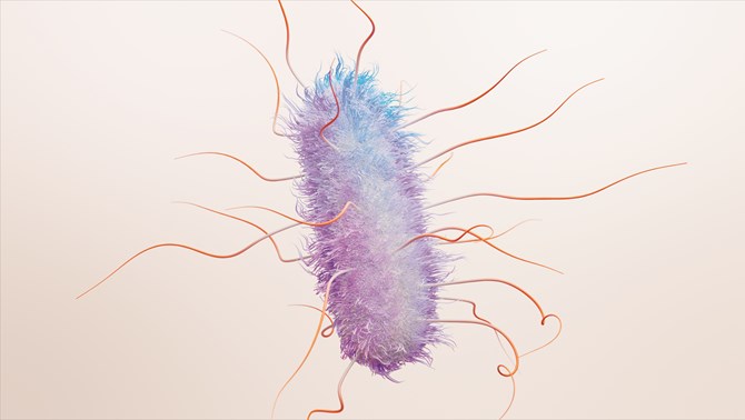 GSK E.Coli
