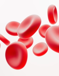 Anaemia Blood Cells Image