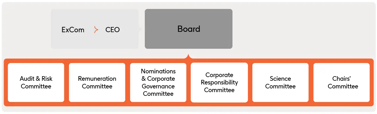 Governance diagram