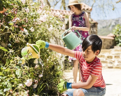 Child watering flowers