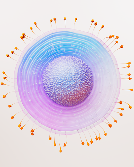Illustration of the Herpes Zoster Virus