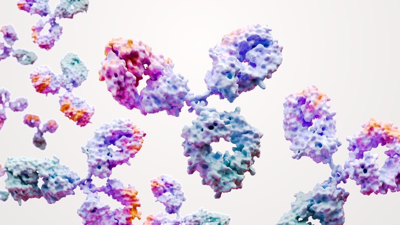 Monoclonal Antibodies Science Image RGB 30943