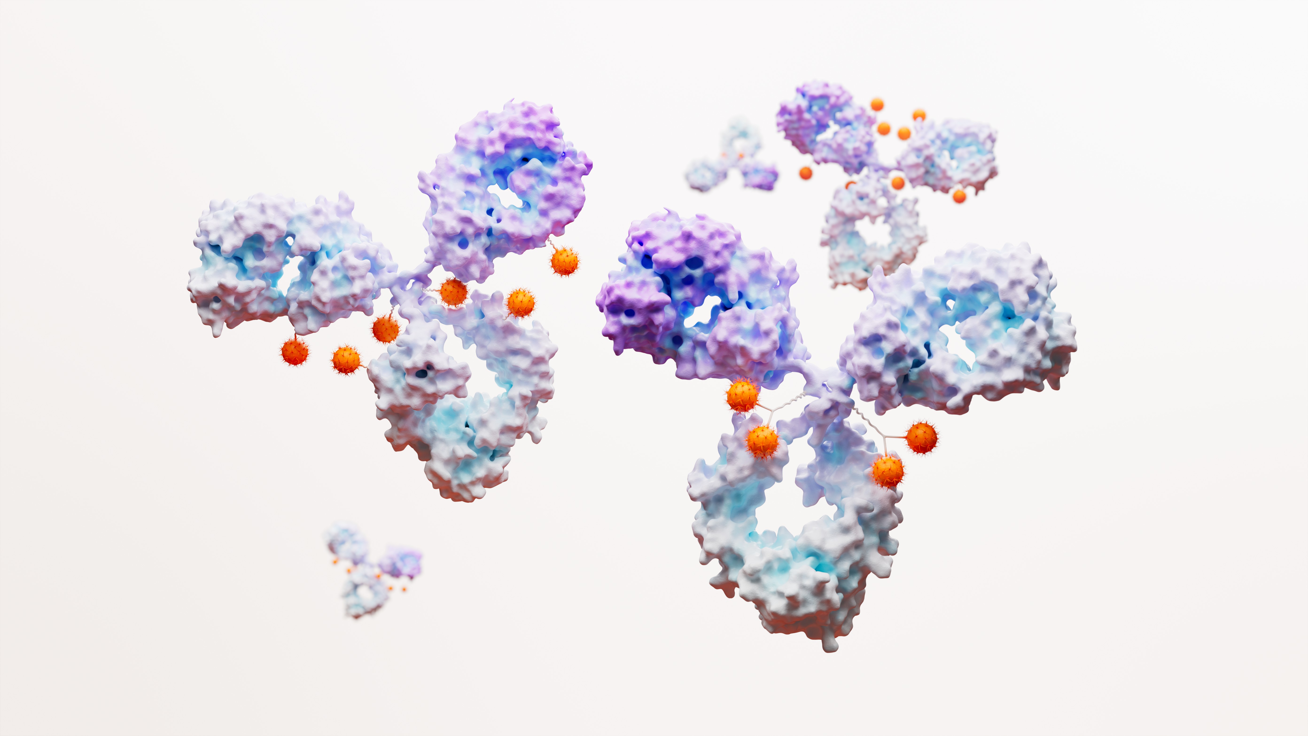 Antibody Drug Conjugate