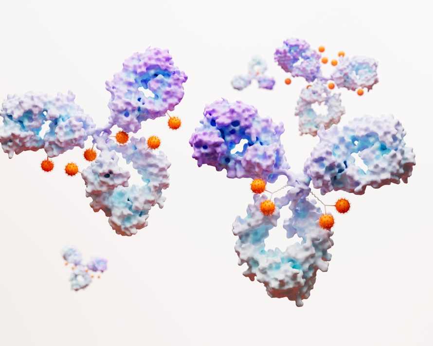 Antibody Drug Conjugate