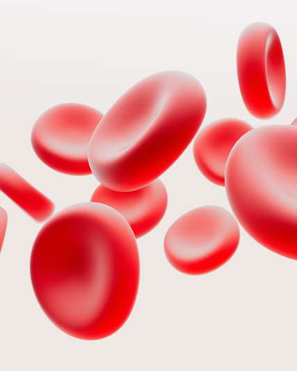 Illustration of red blood cells