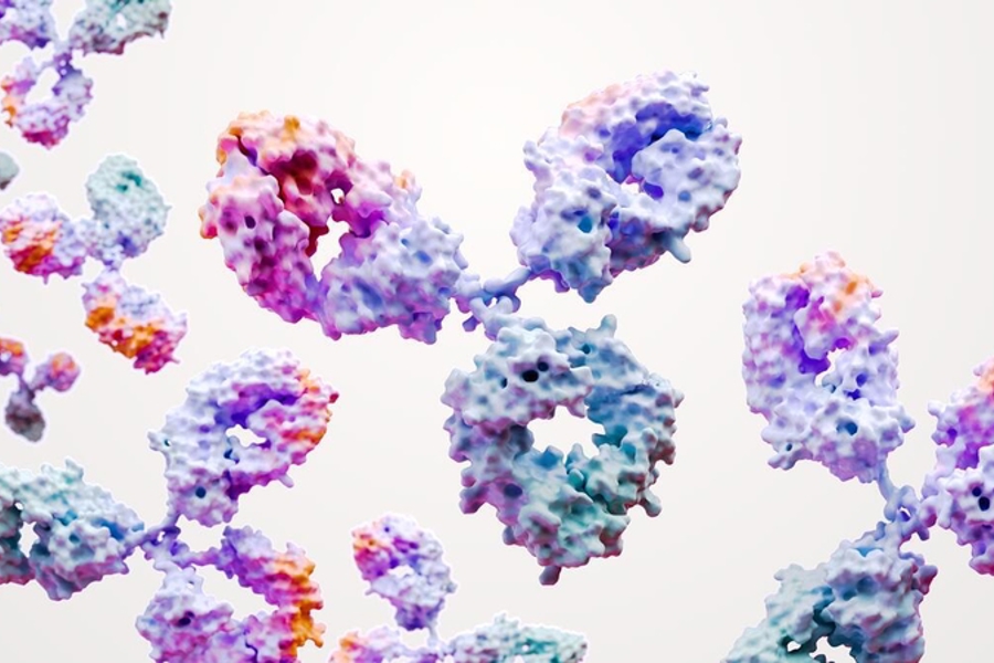 Monoclonal antibodies science image