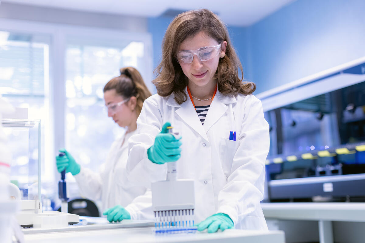 Scientists collaborating and conducting vaccine research, Siena/Italy