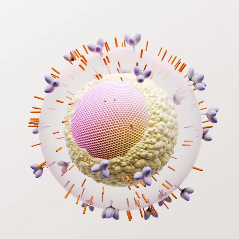 HIV cell