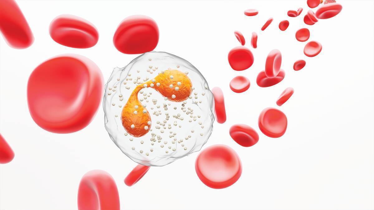 Eosinophils science image