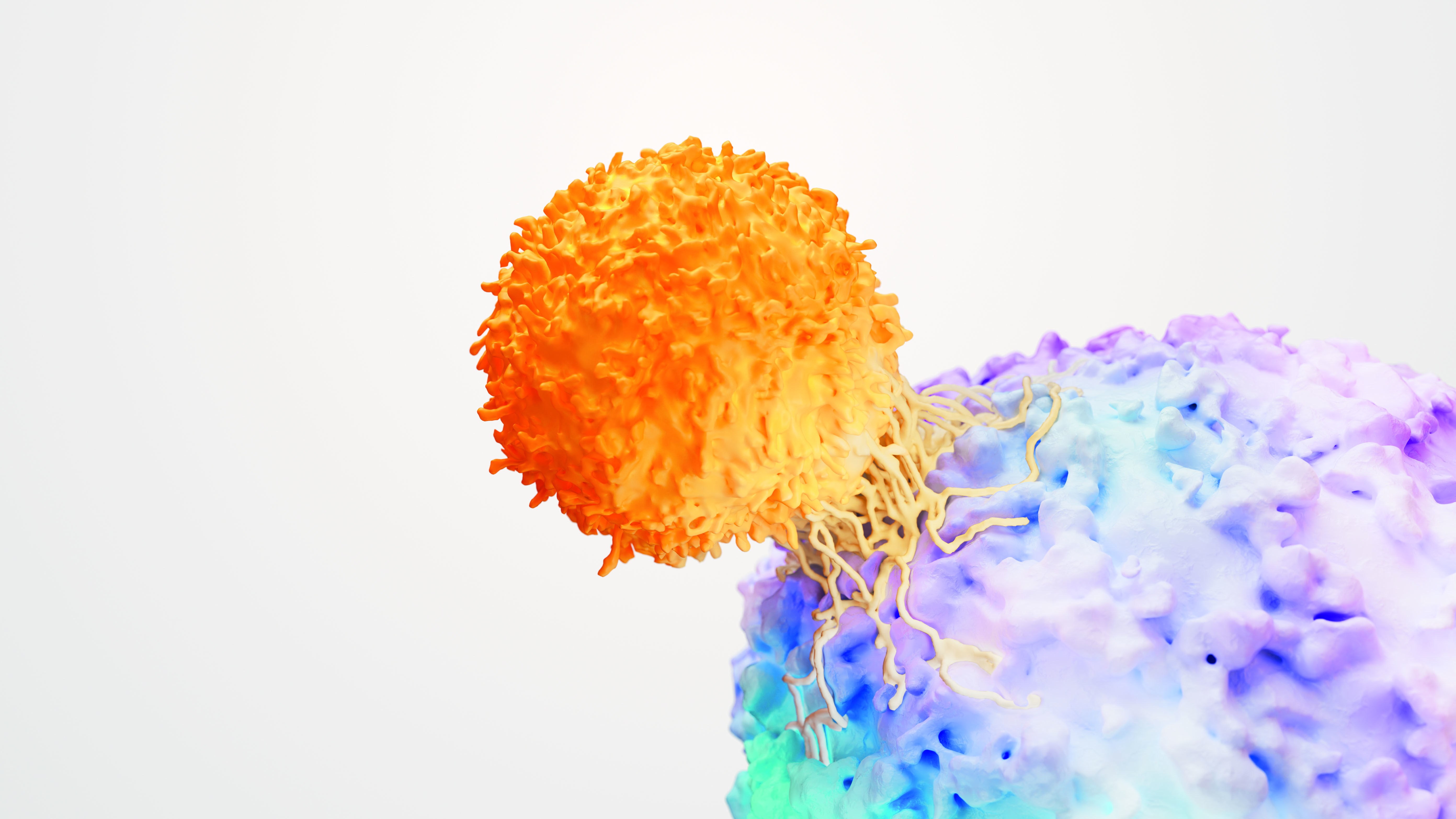 T Cell And Cancer Tumour Science Image 