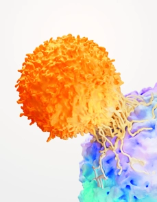 T Cell And Cancer Tumour Science Image