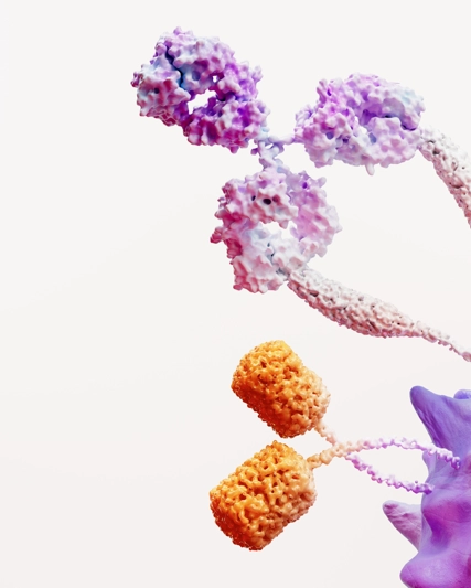 Immuno Oncology Science Image