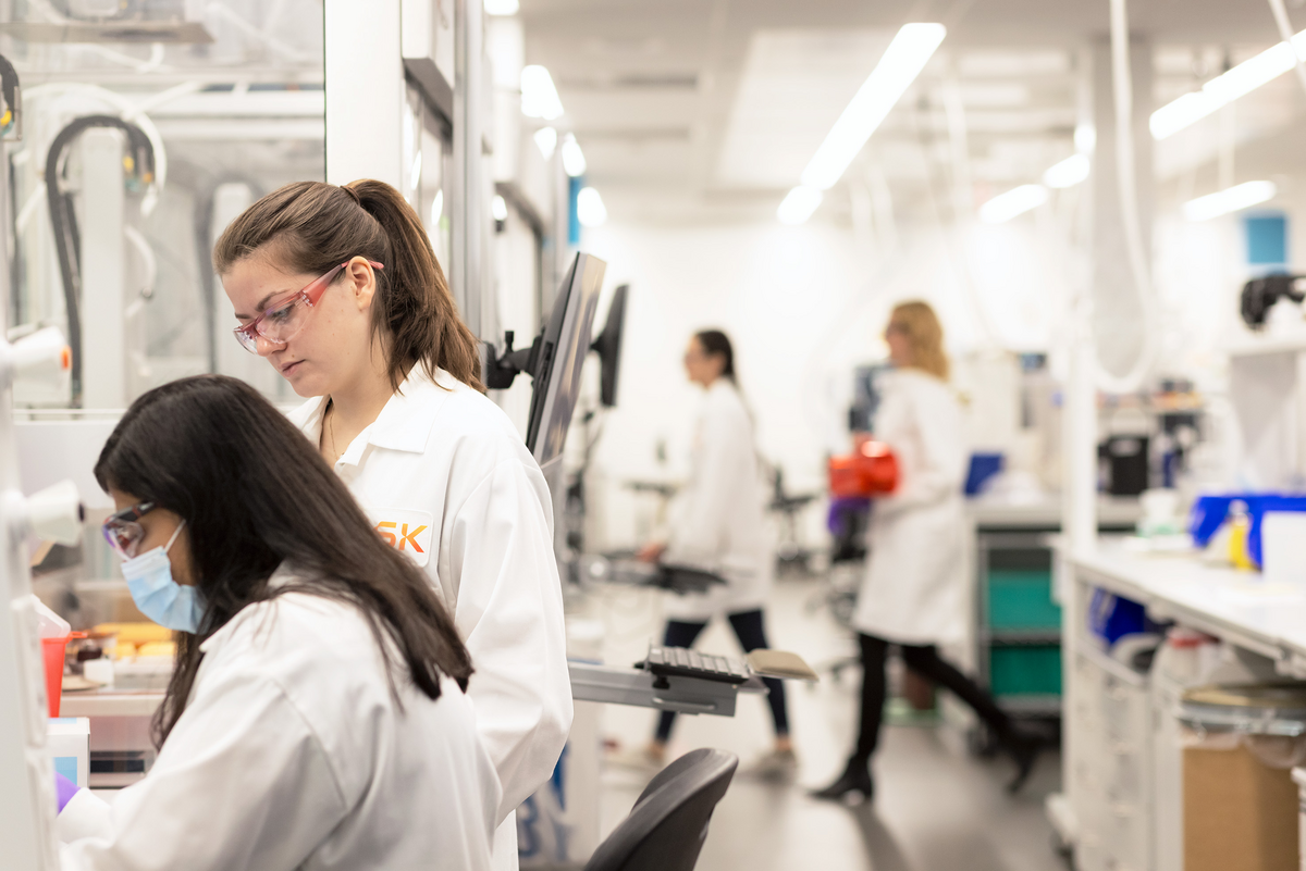 Scientists work in laboratory