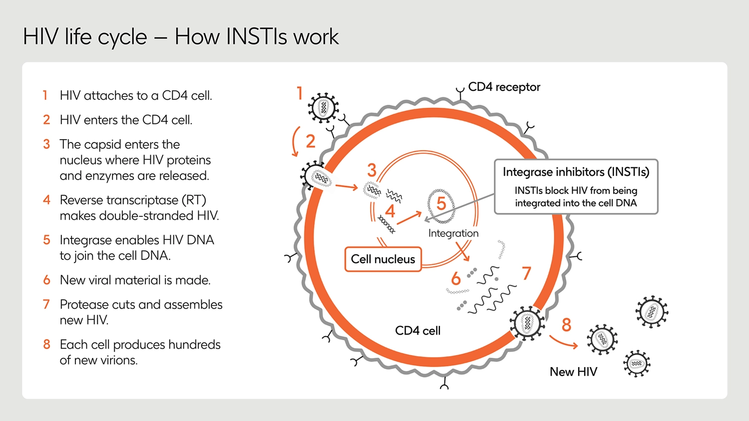 An illustration showing how integrase inhibitors work