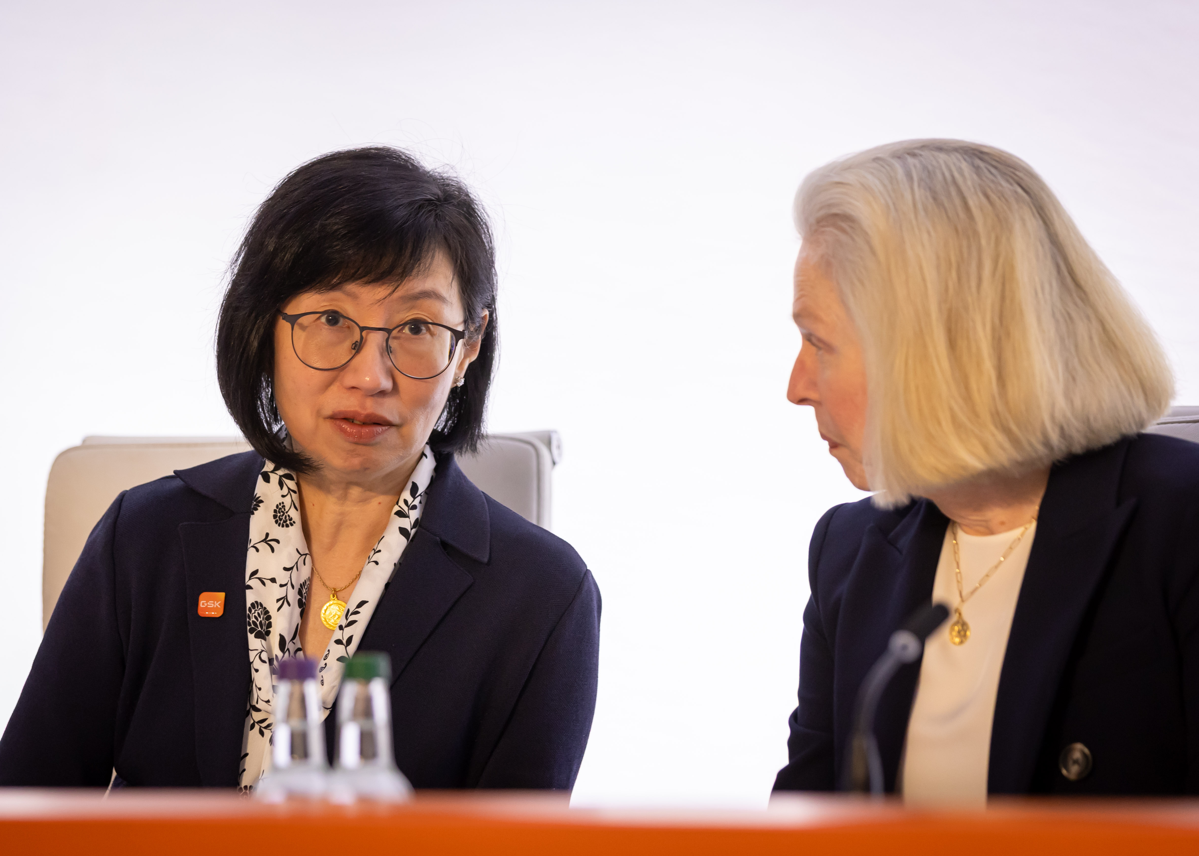 GSK Board members Jeannie Lee and Liz McKee Anderson speak to each other
