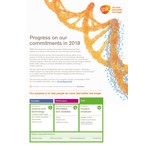 2018 progress summary