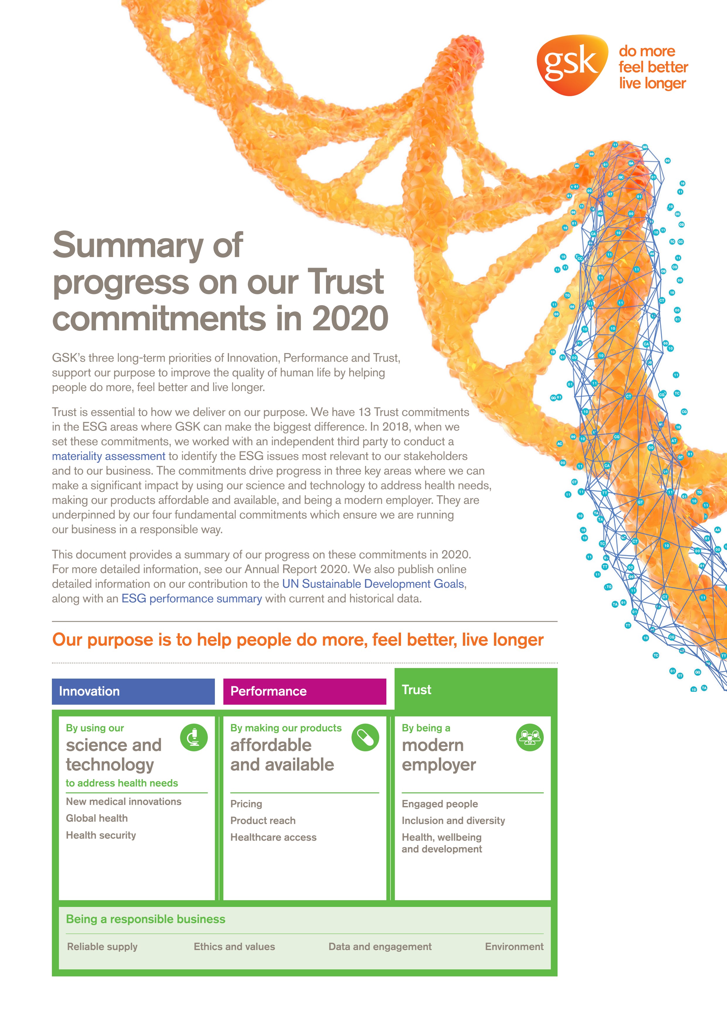Trust Progress Summary 2020