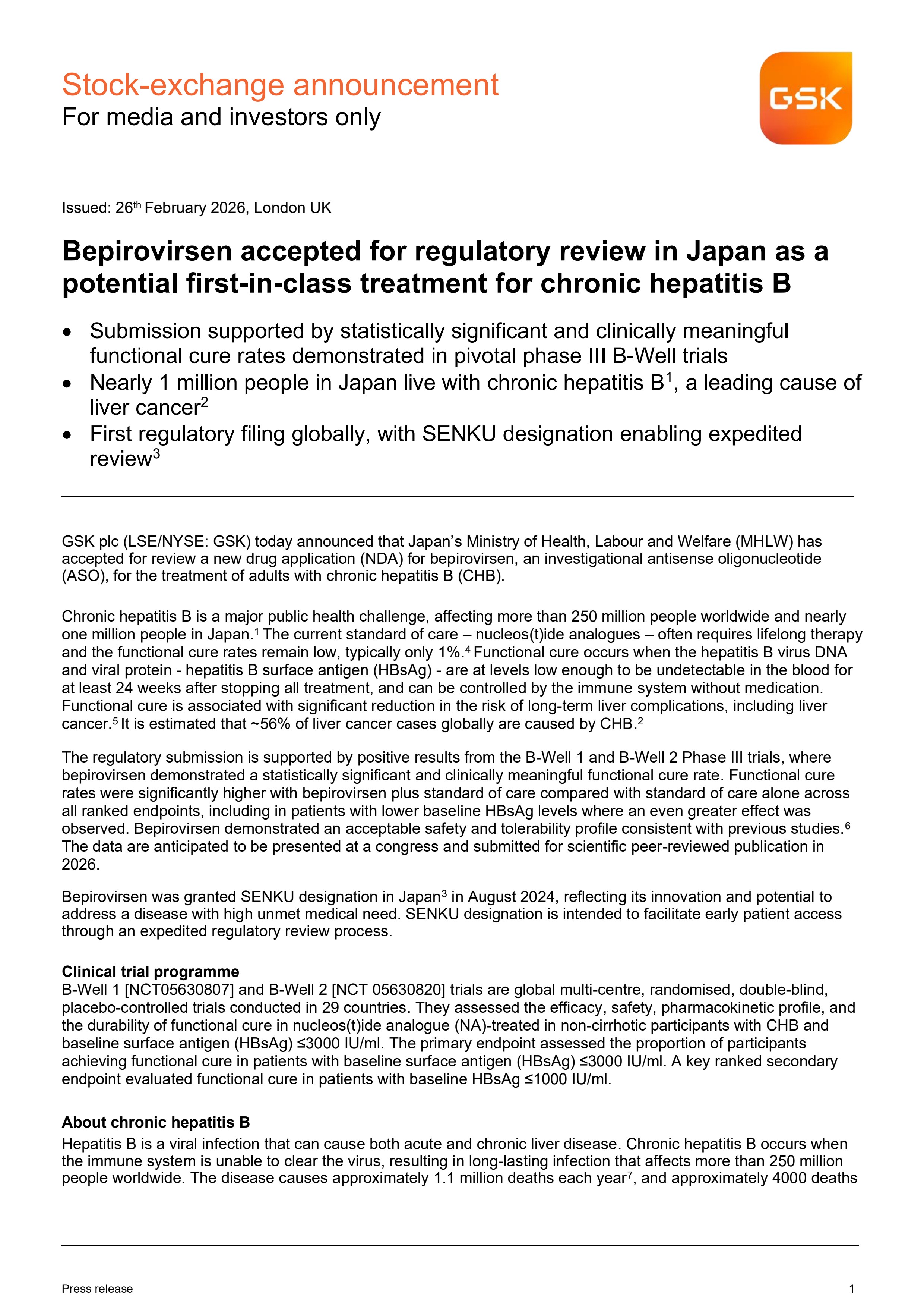 Bepi File Japan Final (1)