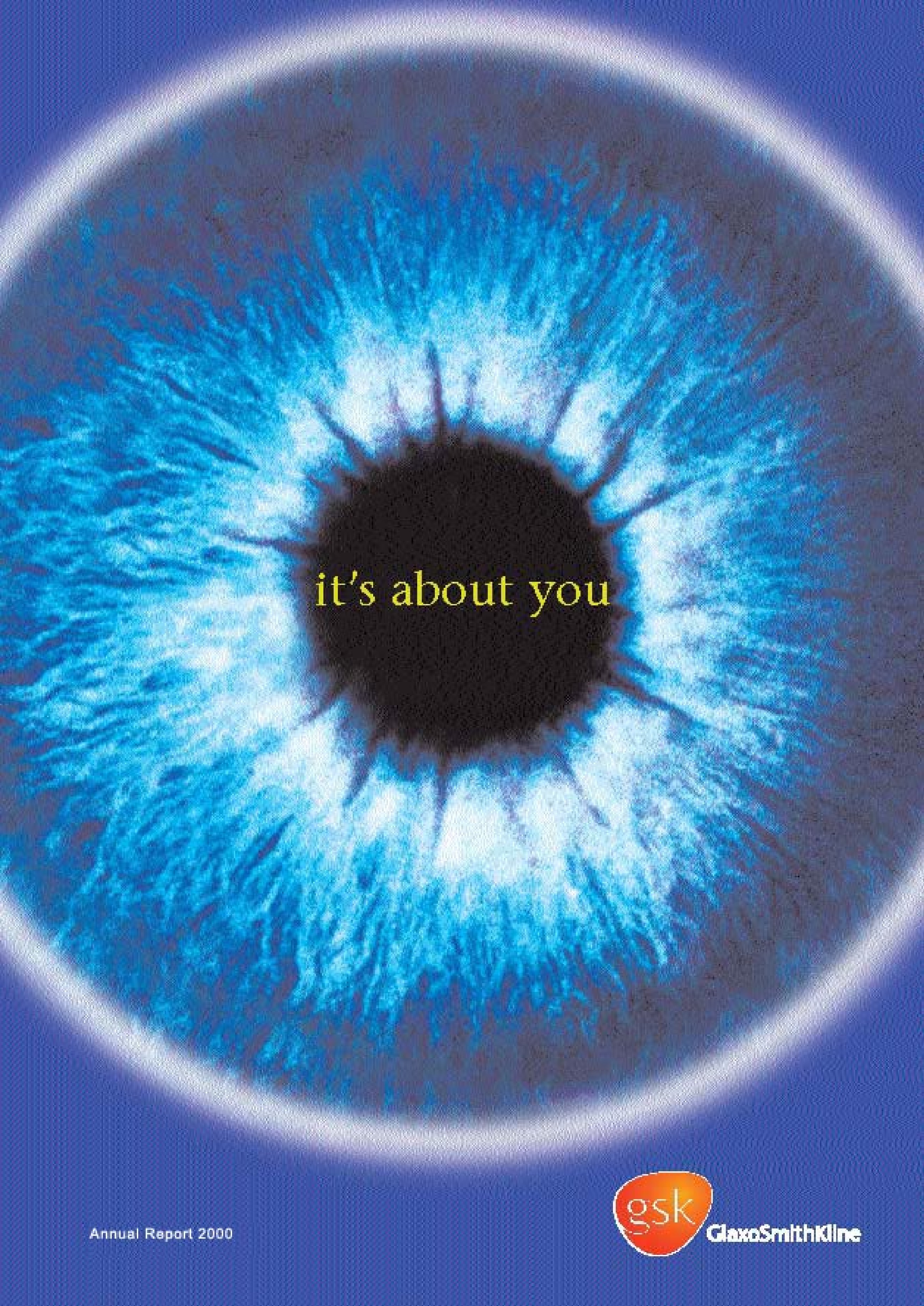 Annual Report 2000