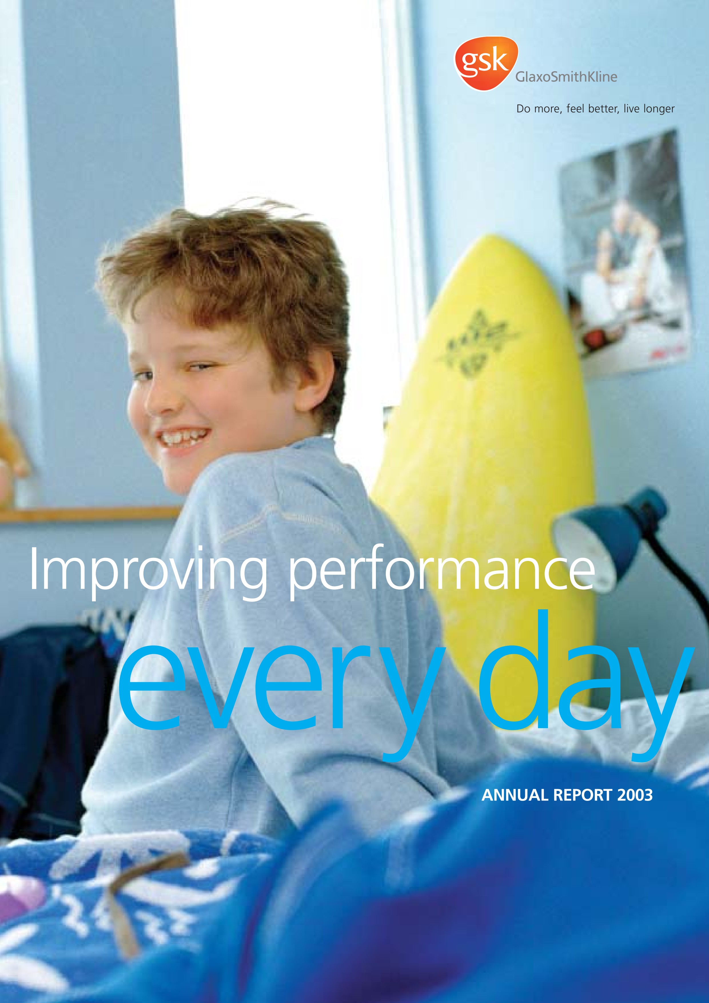 Annual Report 2003