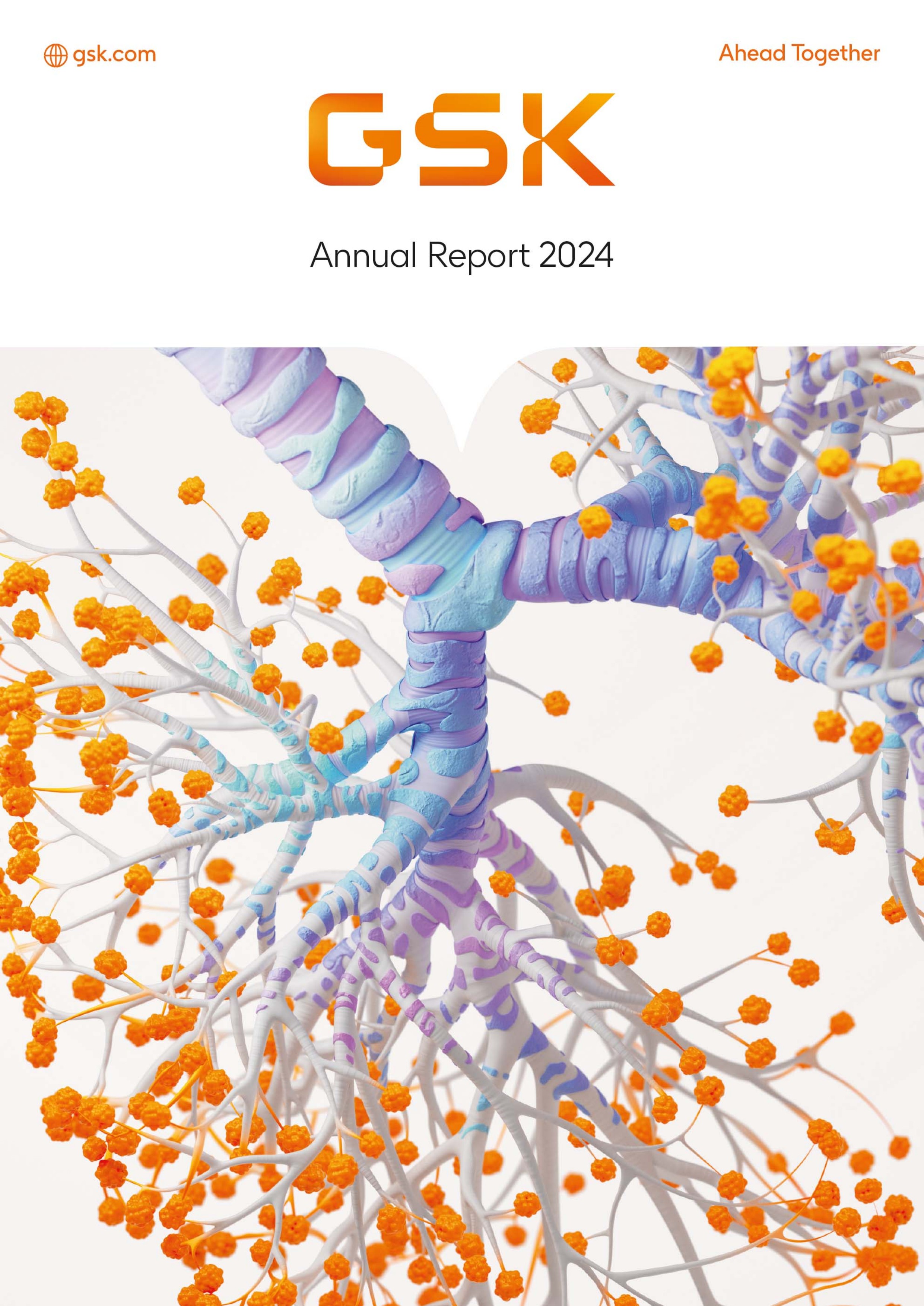 Strategic report 2024