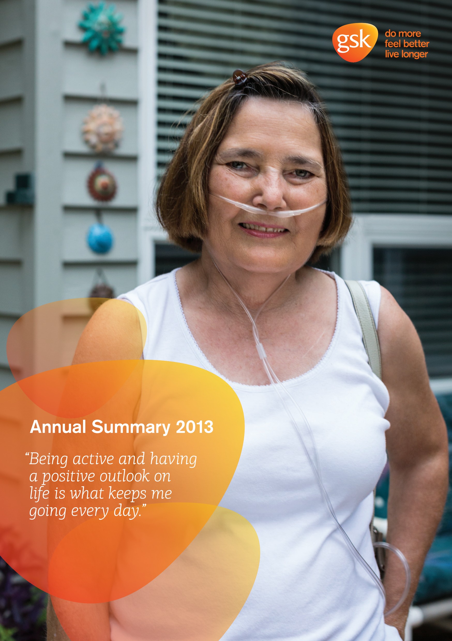Annual Summary 2013